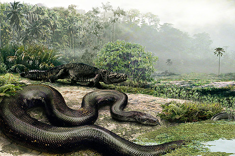 Найдена самая большая змея в мире